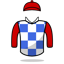 S Aladhayani