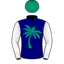 Robert Palm