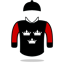 Silk