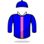 Toru Sannomiya