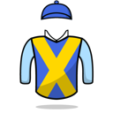 Silk icon for Marketplace