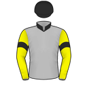 Silk icon for Little Beginnings