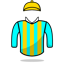 R Solanes