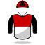 Hector Osvaldo Castillo Santibanez