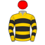 Greg Ryan