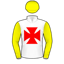 Mick Van Gestel
