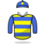 Willie Mullins