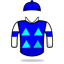 Ryuma Kanagawa