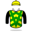 Y Hatakeyama