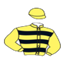 Y.baysal