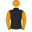 Silk