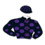 Y.arslanca