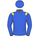 Racing silks: ROYAL BLUE, YELLOW EPAULETTES, ROYAL BLUE CAP