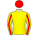 Racing silks: YELLOW, RED STRIPED SLEEVES AND CAP