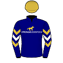 Racing silks: NAVY BLUE, STRONG BLOODSTOCK LOGO, NAVY BLUE SLEEVES, WHITE AND OLD GOLD CHEVRONS, OLD GOLD CAP