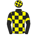 Racing silks: BLACK, YELLOW CHECKS AND ARMBANDS, CHECKED CAP