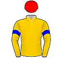 Racing silks: GOLD, BLUE ARMBANDS, RED CAP