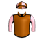Silk